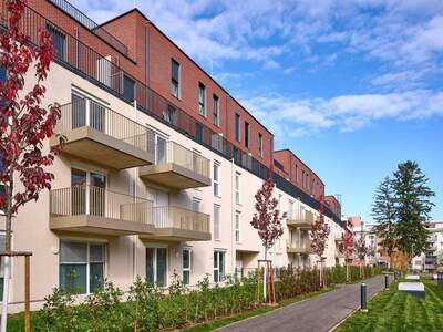 Wohnung mieten in 8020 Eggenberg