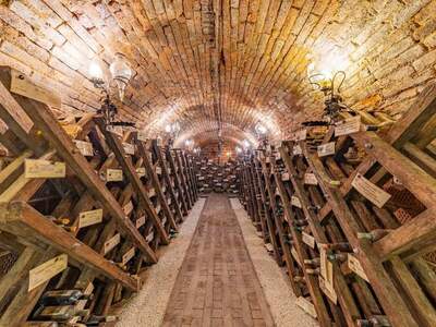 Gewerbeobjekt kaufen in 2020 Hollabrunn