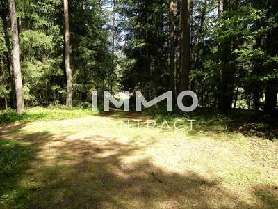 Haus kaufen in 3873 Heidenreichstein (Bild 3)