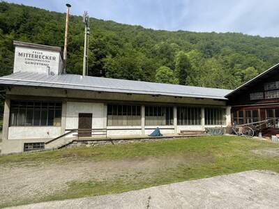 Gewerbeobjekt mieten in 4040 Linz (Bild 4)