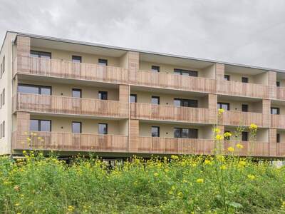 Wohnung mieten in 4552 Wartberg