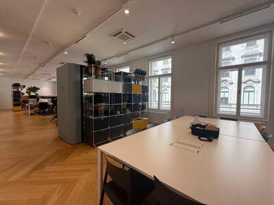 Gewerbeobjekt mieten in 1010 Wien (Bild 4)