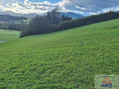 Gewerbeobjekt kaufen in 8162 Passail