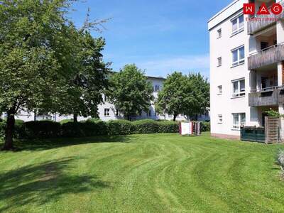 Terrassenwohnung mieten in 4400 Steyr (Bild 1)