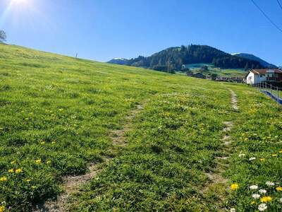 Grundstück kaufen in 6173 Oberperfuss