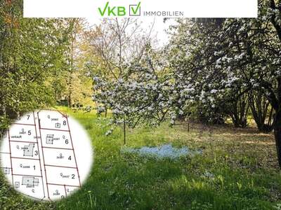 Grundstück kaufen in 4211 Spattendorf