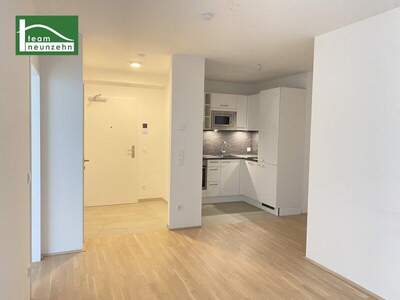 Terrassenwohnung mieten in 1200 Wien (Bild 2)