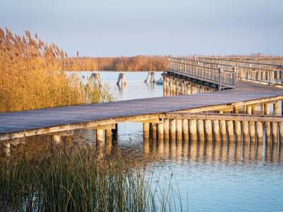 Wohnung mit Balkon kaufen in 7071 Rust (Bild 5)