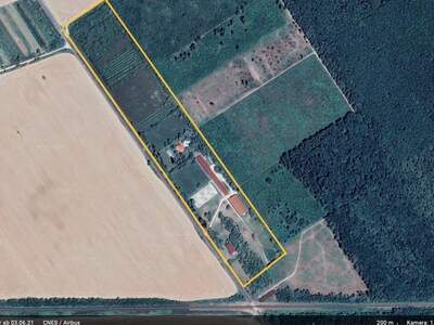 Haus kaufen in 7152 Pamhagen (Bild 1)