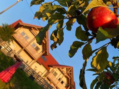 Haus provisionsfrei kaufen in 8382 Weichselbaum