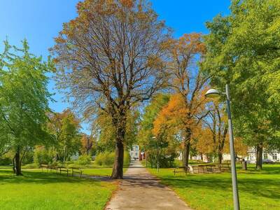 Wohnung kaufen in 1230 Wien