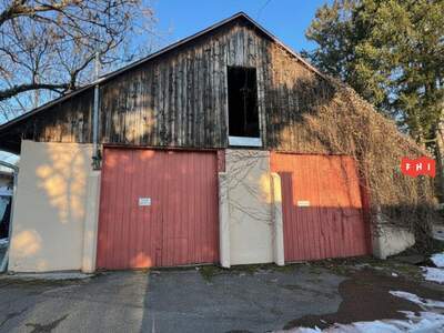 Immobilie mieten in 4050 Traun