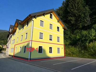 Mietwohnung in 8900 Selzthal (Bild 1)