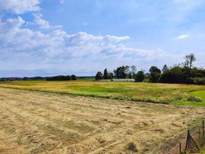Haus mit Garten kaufen in 8490 Bad Radkersburg (Bild 5)