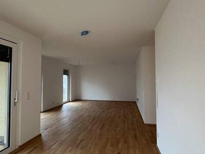 Terrassenwohnung kaufen in 2700 Wr. Neustadt (Bild 5)