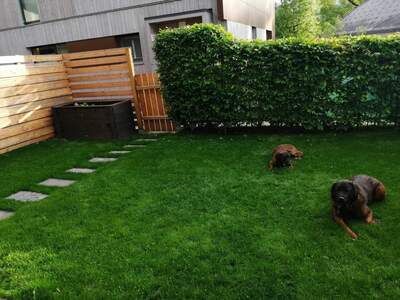 Wohnung provisionsfrei mieten in 6073 Sistrans