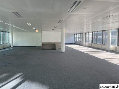 Gewerbeobjekt mieten in 1110 Wien (Bild 2)