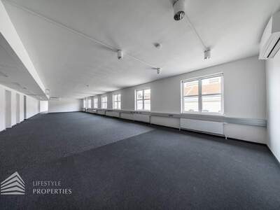 Gewerbeobjekt mieten in 1010 Wien