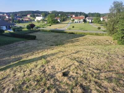 Grundstück kaufen in 7425 Wiesfleck (Bild 3)