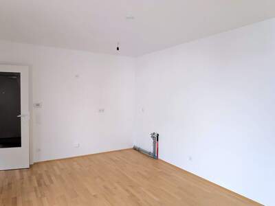 Wohnung mit Balkon kaufen in 1230 Wien (Bild 3)
