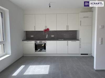 Terrassenwohnung mieten in 8075 Hart (Bild 2)