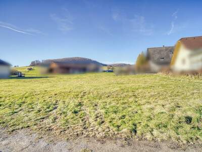 Grundstück kaufen in 2534 Alland
