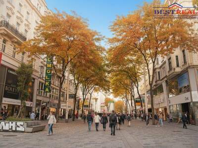 Einzelhandel mieten in 1060 Wien (Bild 1)