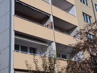 Wohnung mieten in 2700 Wr. Neustadt (Bild 3)