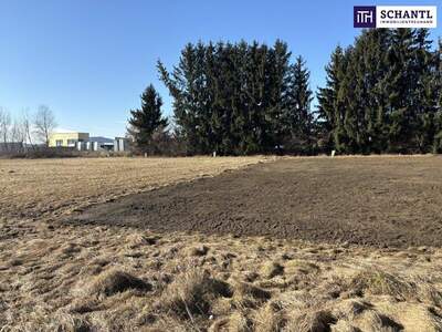 Grundstück kaufen in 8402 Werndorf (Bild 2)