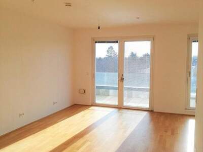 Terrassenwohnung mieten in 1220 Wien (Bild 3)