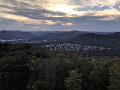 Terrassenwohnung mieten in 1160 Wien (Bild 3)