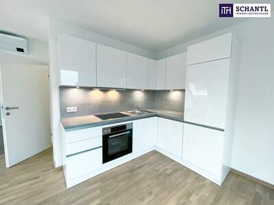 Terrassenwohnung mieten in 1220 Wien (Bild 2)