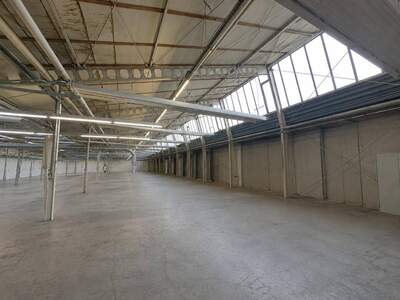 Gewerbeobjekt mieten in 2512 Tribuswinkel