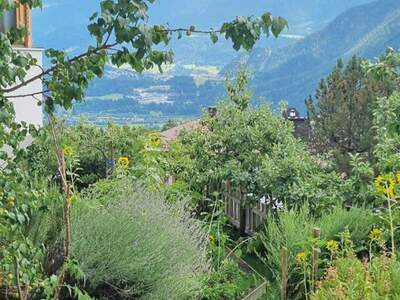 Haus mit Garten kaufen in 6460 Imst (Bild 4)