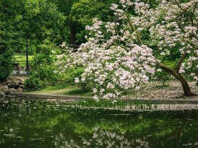 Eigentumswohnung in 1180 Wien