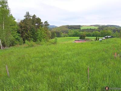 Grundstück kaufen in 7435 Holzschlag