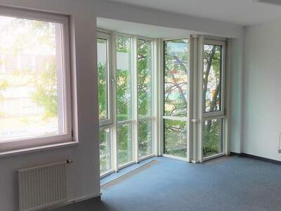 Gewerbeobjekt mieten in 1110 Wien (Bild 4)