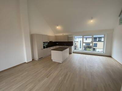 Wohnung mieten in 2102 Bisamberg