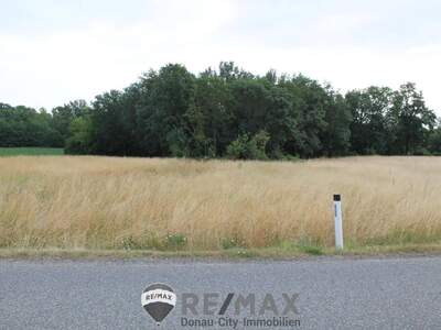 Gewerbeobjekt kaufen in 2011 Sierndorf