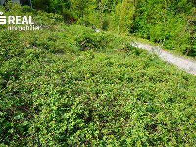 Grundstück kaufen in 3033 Altlengbach (Bild 5)