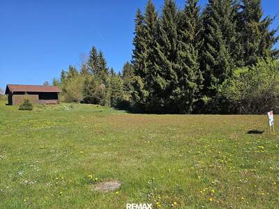 Grundstück kaufen in 8741 Weißkirchen (Bild 3)