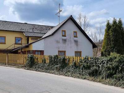 Haus kaufen in 3874 Litschau