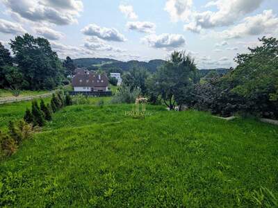 Anlageobjekt kaufen in 4170 Haslach (Bild 1)