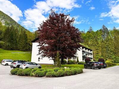 Mietwohnung in 4645 Grünau (Bild 3)