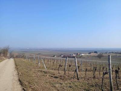 Haus provisionsfrei mieten in 2061 Obritz