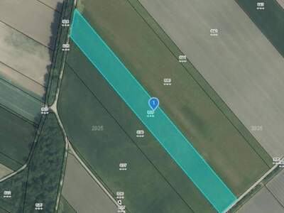 Gewerbeobjekt kaufen in 2444 Seibersdorf