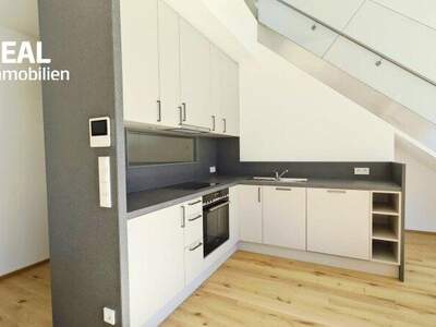 Terrassenwohnung mieten in 1090 Wien (Bild 3)