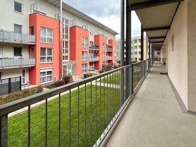 Wohnung mieten in 4310 Mauthausen