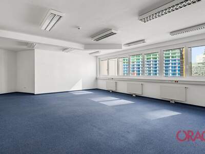 Gewerbeobjekt mieten in 1220 Wien (Bild 4)