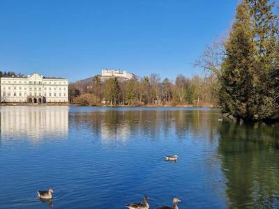 Wohnung provisionsfrei mieten in 5020 Salzburg